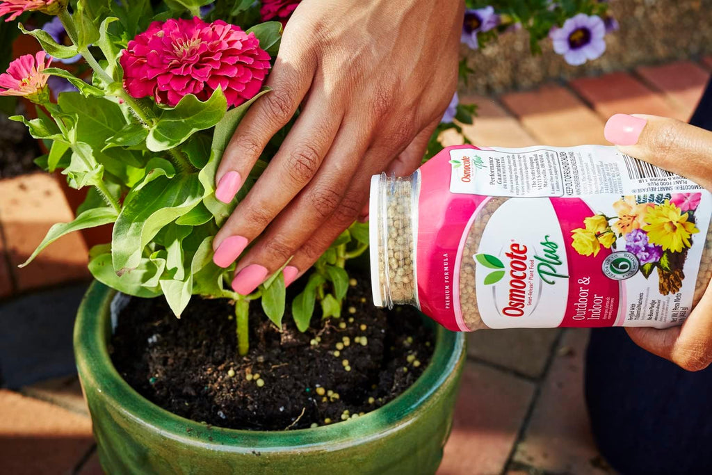1 lb. Smart-Release Plant Food Y5543