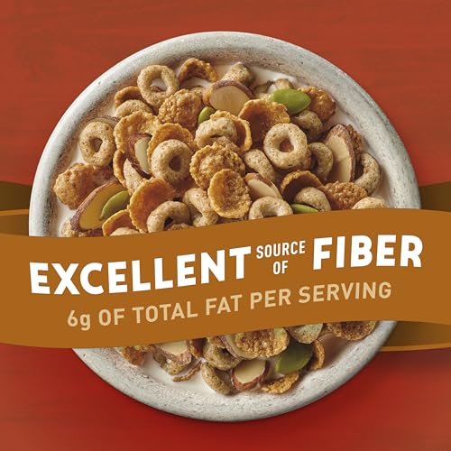 Maple Cinnamon Whole Grain Breakfast Cereal, Family Size, 20 oz Y500904
