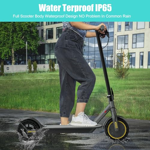 Electric Scooter with 350W Motor, 8.5" Solid Tires, Foldable Y5012