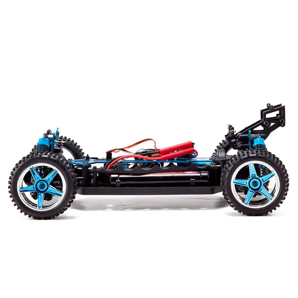1/10 Scale Brushless Electric Buggy D501