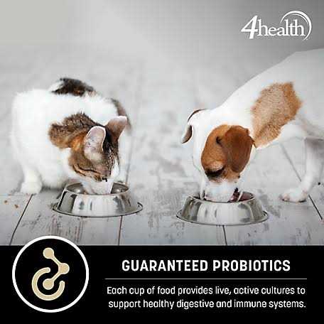 4health Wholesome Grains Adult Lamb and Rice Formula Dry Dog Food B641