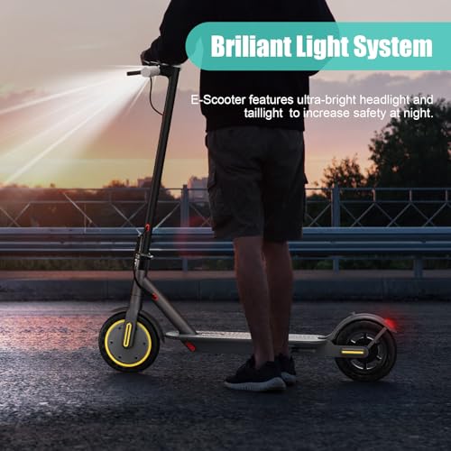 Electric Scooter with 350W Motor, 8.5" Solid Tires, Foldable Y5012