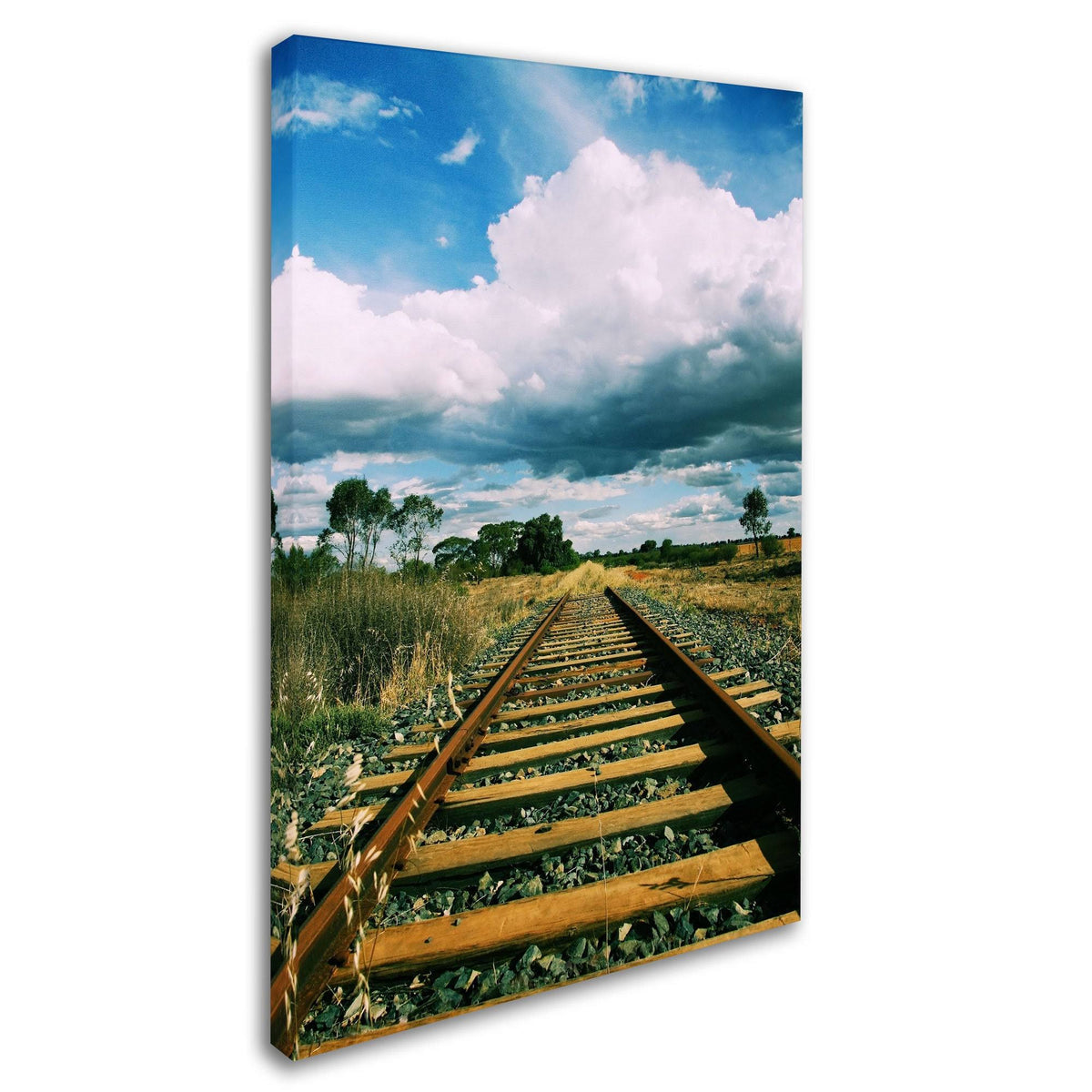 Canvas Art Q234081