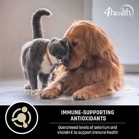 4health Wholesome Grains Adult Lamb and Rice Formula Dry Dog Food B641