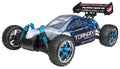1/10 Scale Brushless Electric Buggy D501