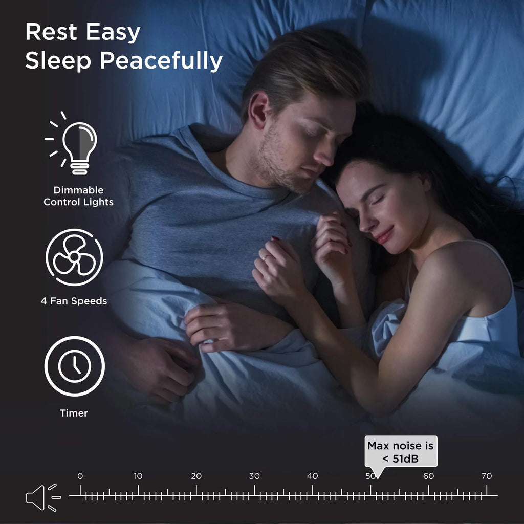 White H13 True HEPA Air Purifier, 2-Pack D6907