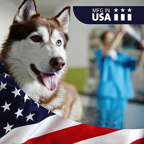 Antiseptic Dog Cat & Horse Shampoo W176