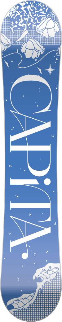 Paradise Snowboard A733273