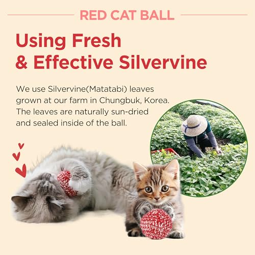 Red Catnip Silvervine Cat Toy H5069