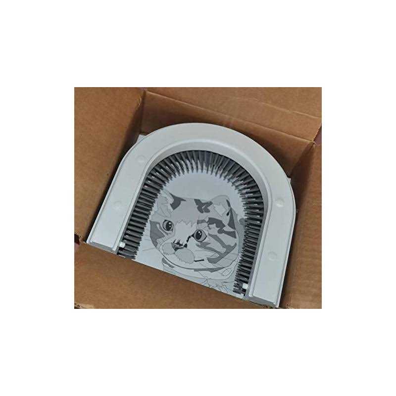 Cat Door Y521385