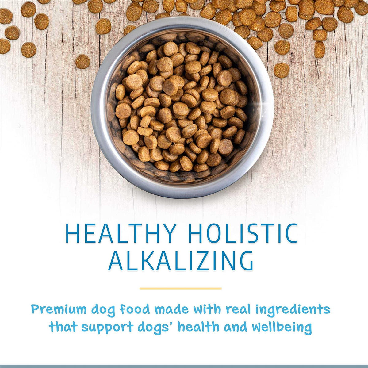 Holistic Dry Dog Food H78773
