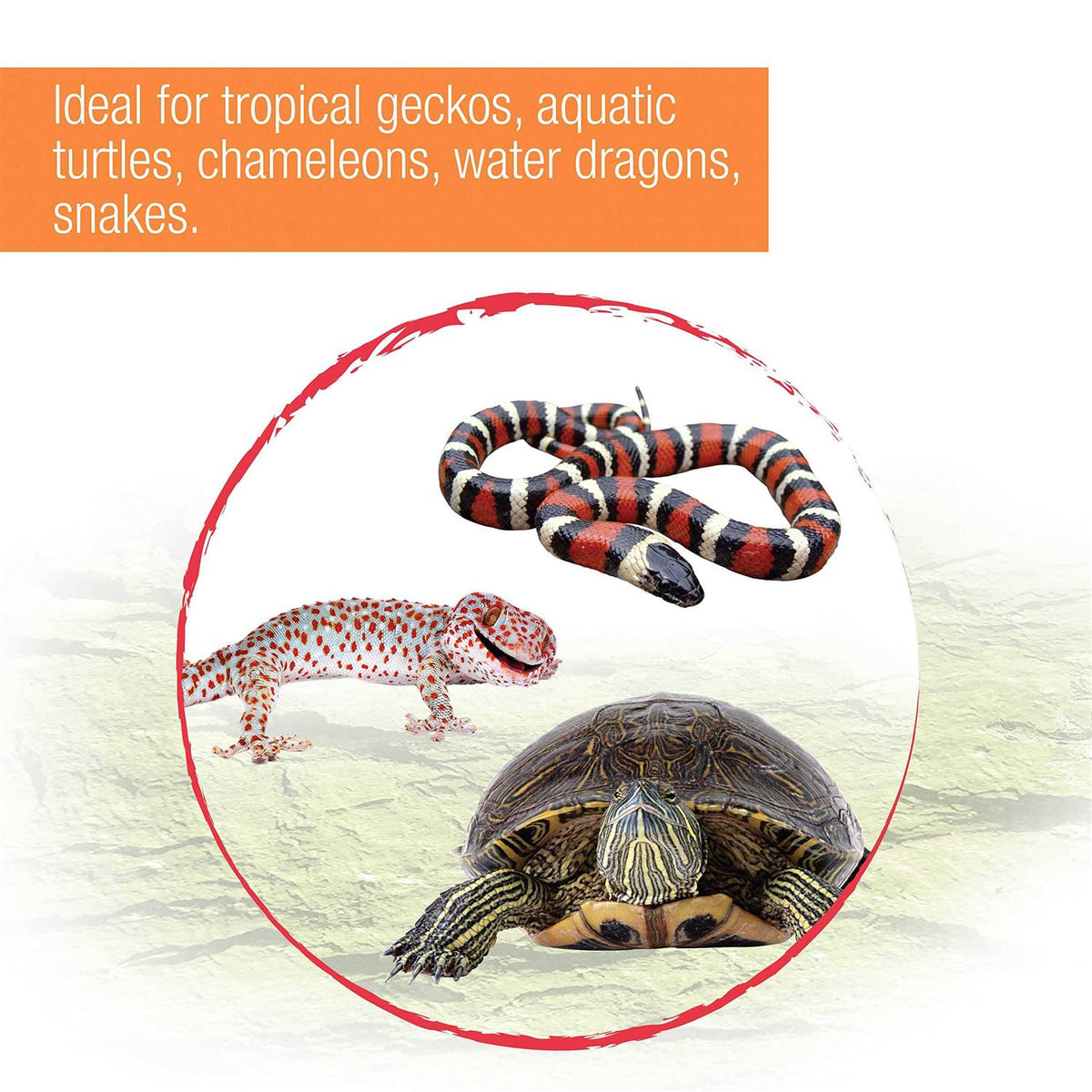 Tropical Reptile Fixture O606