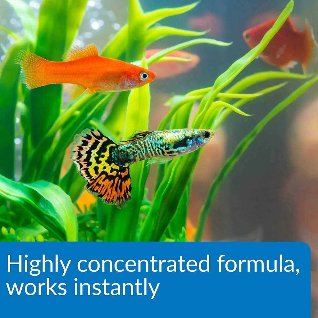 Aqua Essential Water Conditioner W68840
