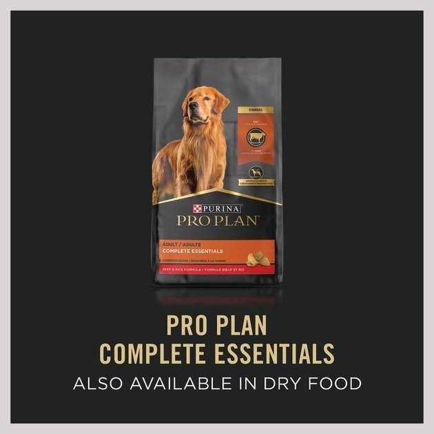 Beef Entree Wet Dog Food B34823