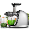 Gray Masticating Slow Juicer J1059