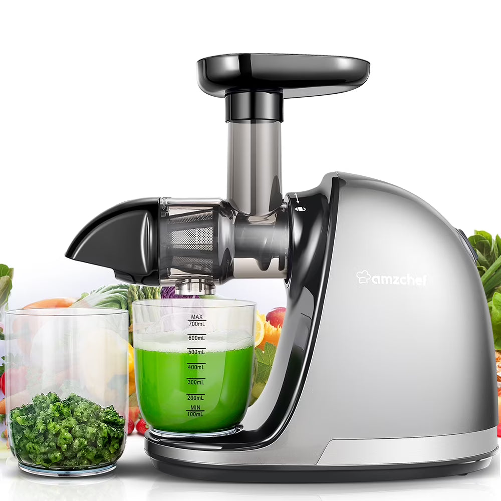 Gray Masticating Slow Juicer J1059