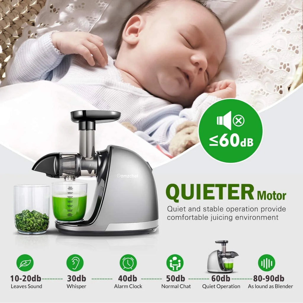 Gray Masticating Slow Juicer J1059