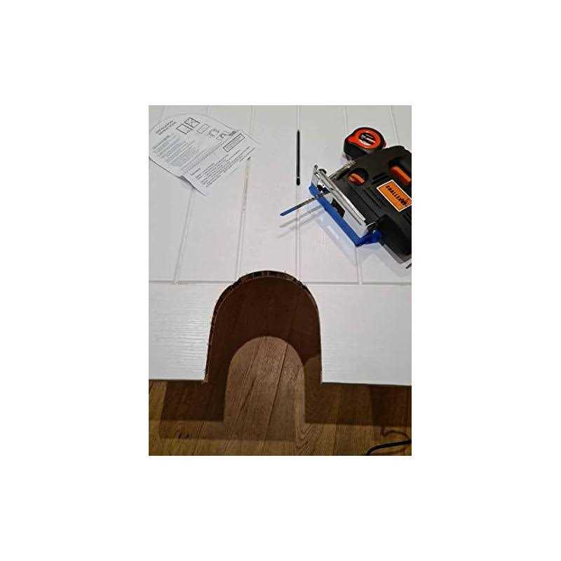 Cat Door Y521385