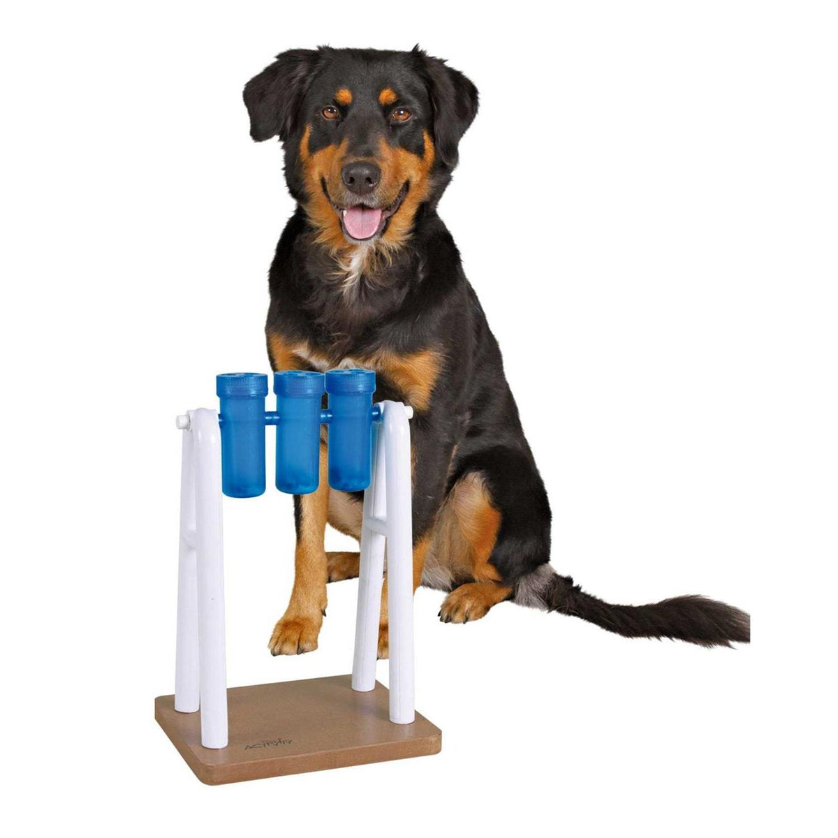 Dog Toy O50676