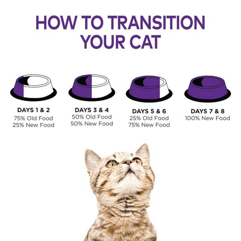Cat Food Q2958