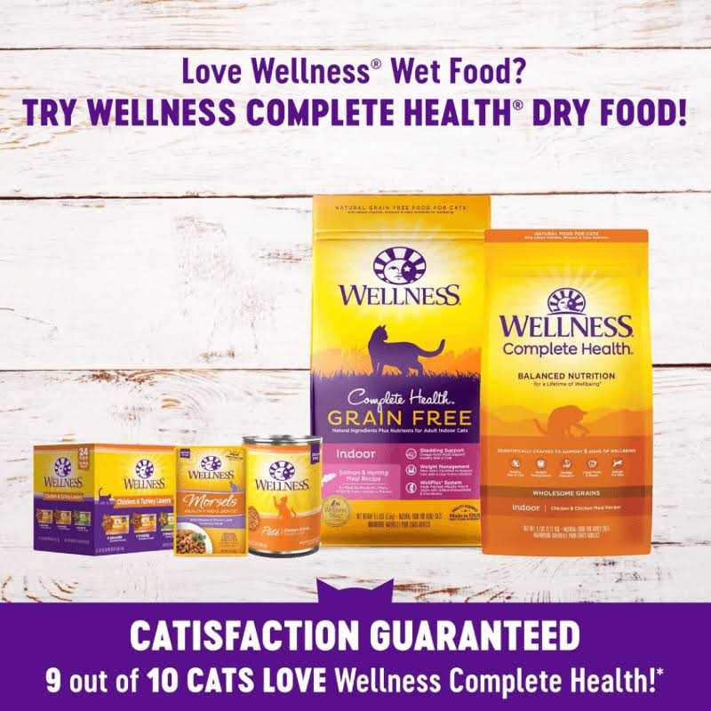 Cat Food Q2958