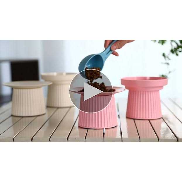 Elevated Cat Food and Water Bowl Set Z34787