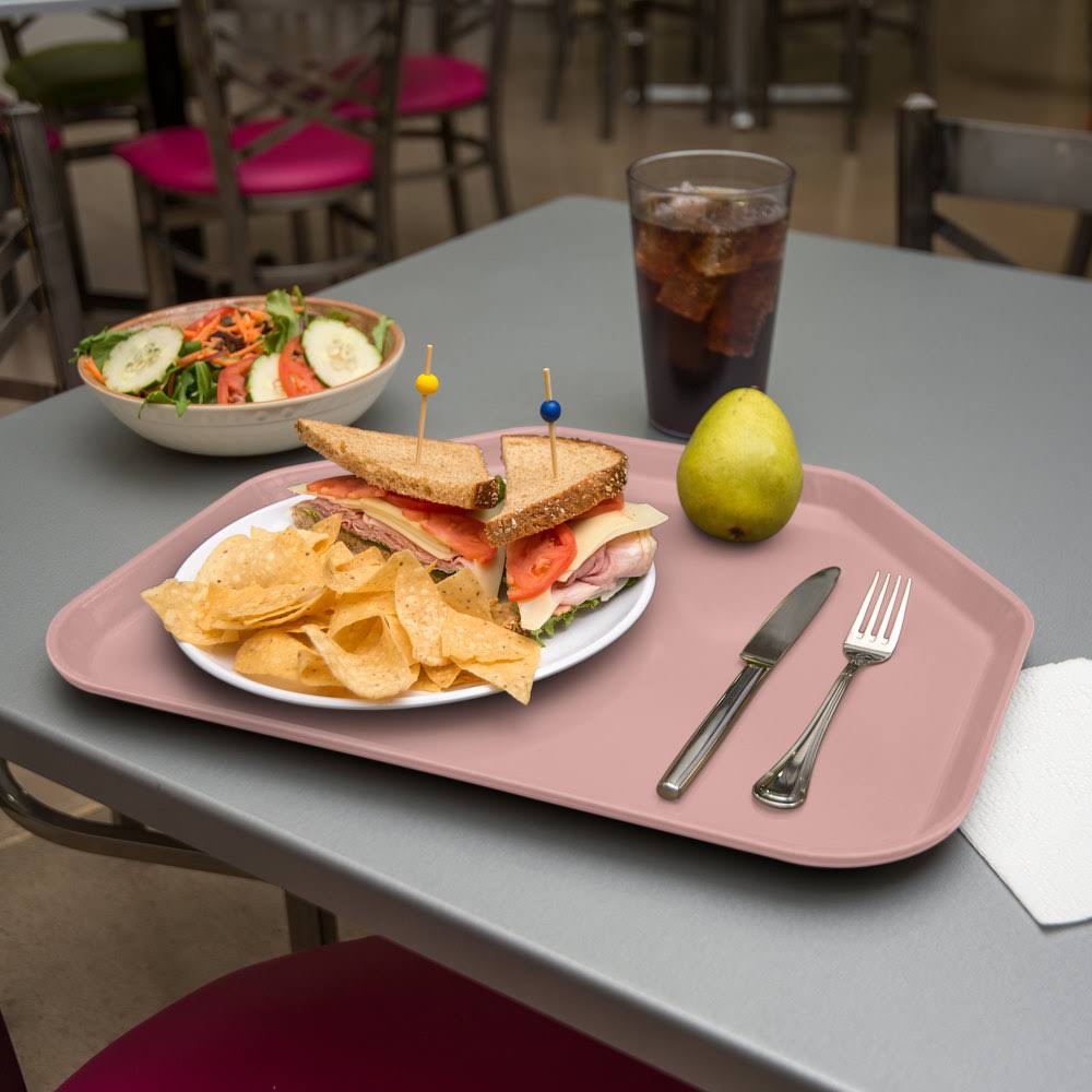 Mauve Glasteel Fiberglass Trapezoid Tray K454636