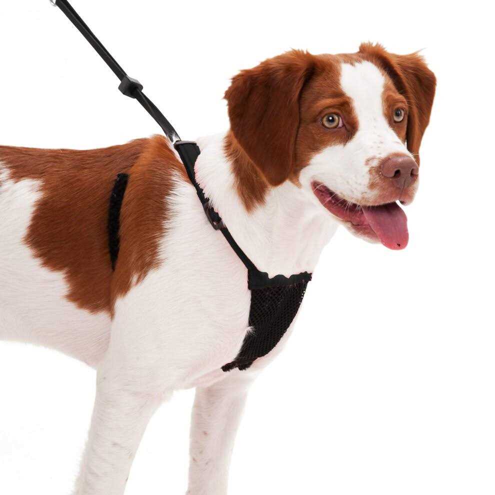 Mesh Non Pull Dog Harness K85127
