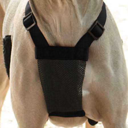 Mesh Non Pull Dog Harness K85127