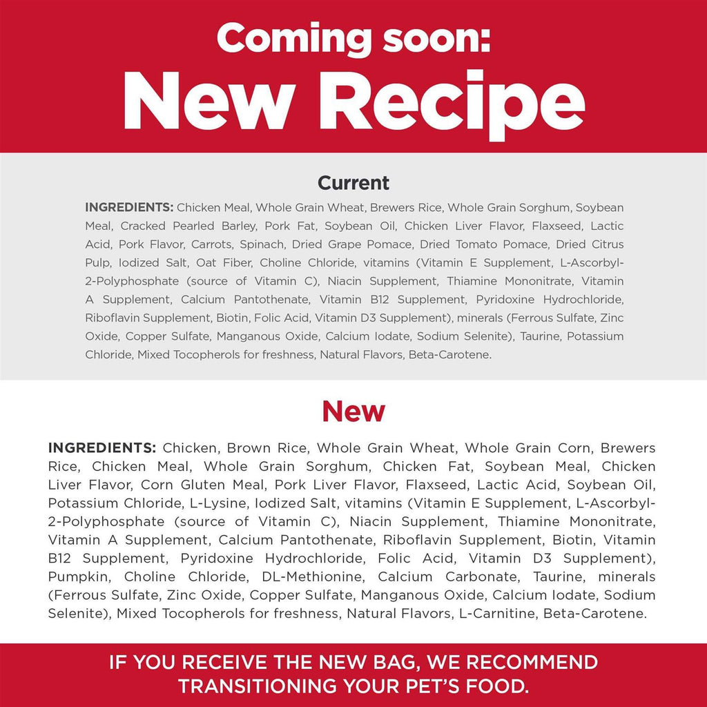 Dry Dog Food M989865