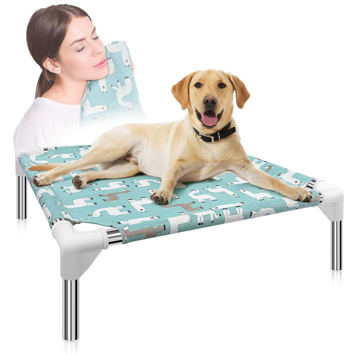 Elevated Dog Bed Pet cot for Small Dogs M819826