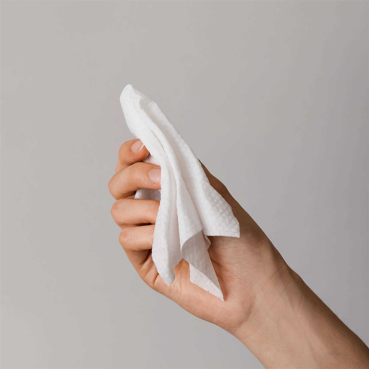 Grooming Wipes O73393