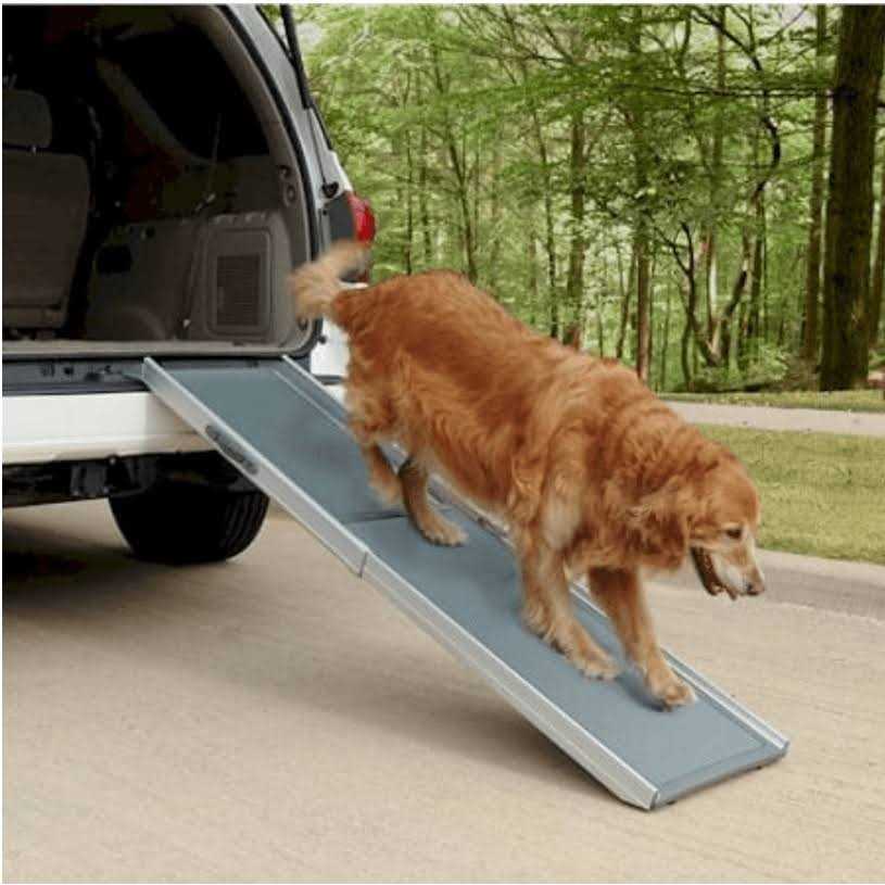 Telescoping Dog Ramp W15015