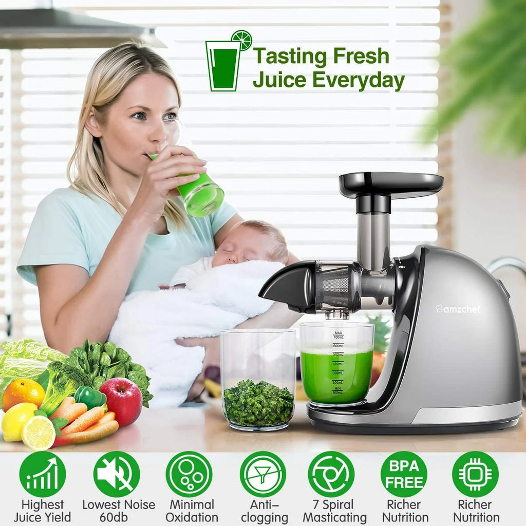 Gray Masticating Slow Juicer J1059