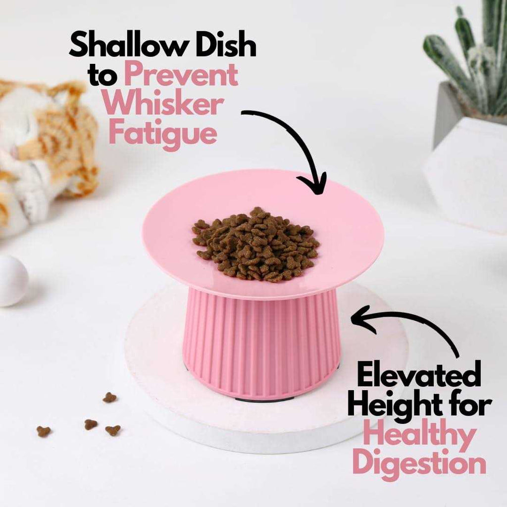 Elevated Cat Food and Water Bowl Set Z34787